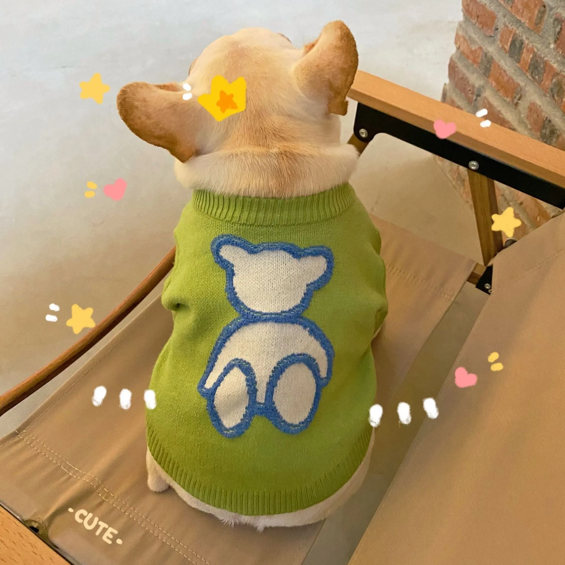 Fluffy Bear Pet Owner Matching Sweater