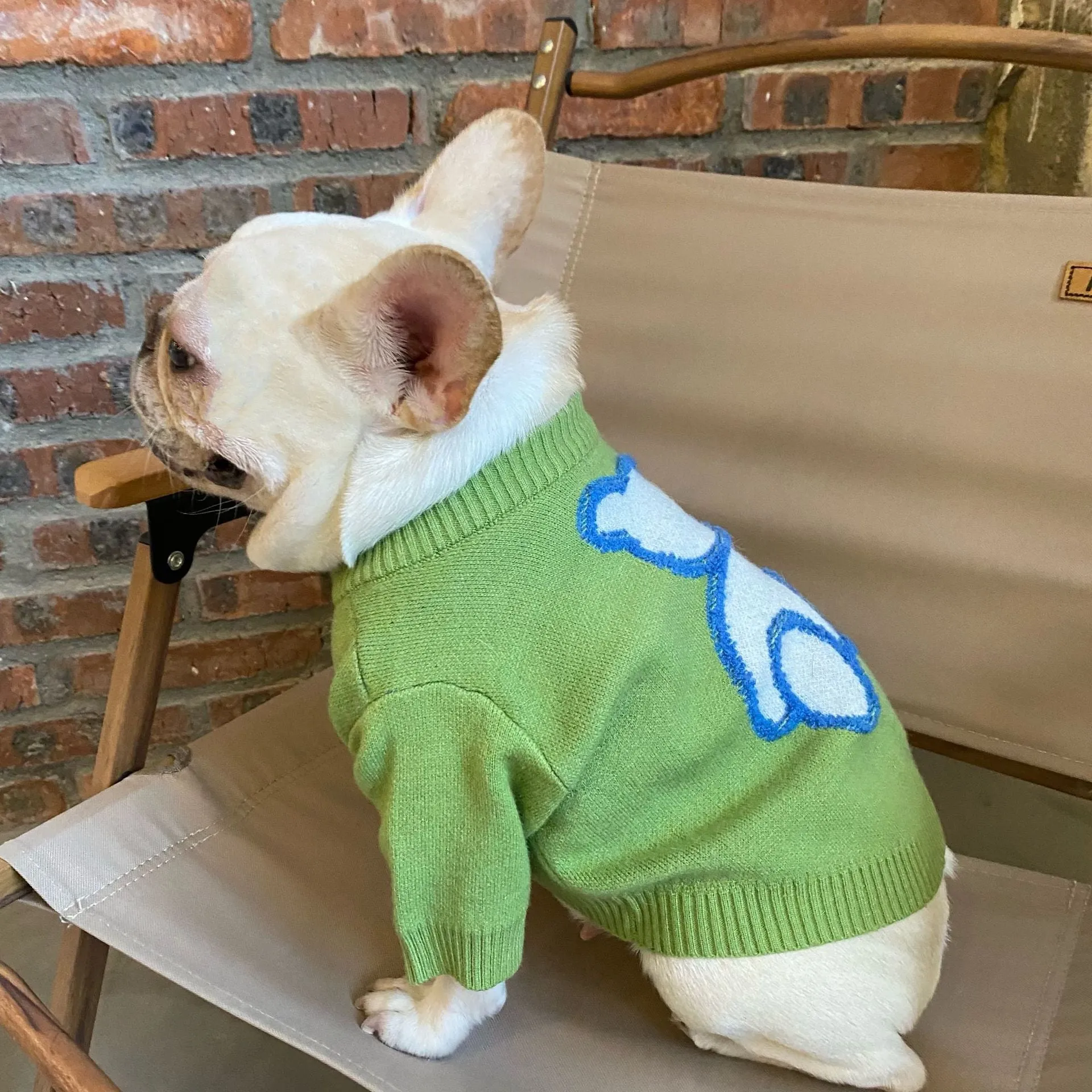Fluffy Bear Pet Owner Matching Sweater