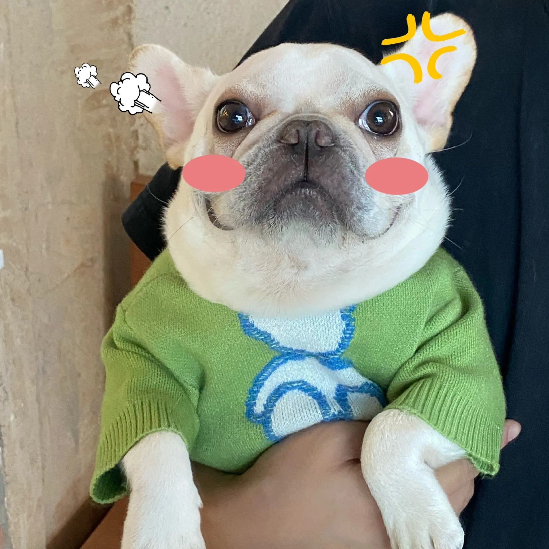 Fluffy Bear Pet Owner Matching Sweater