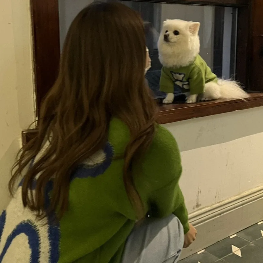 Fluffy Bear Pet Owner Matching Sweater