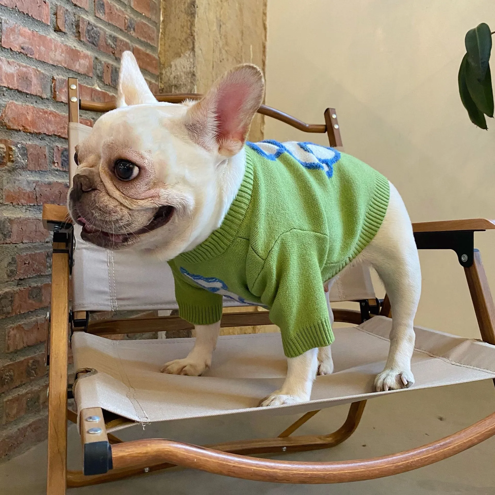 Fluffy Bear Pet Owner Matching Sweater